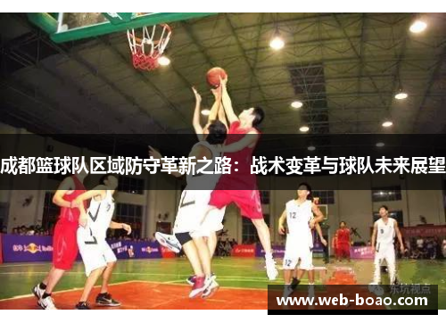 成都篮球队区域防守革新之路：战术变革与球队未来展望