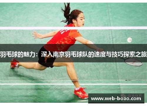羽毛球的魅力：深入南京羽毛球队的速度与技巧探索之旅