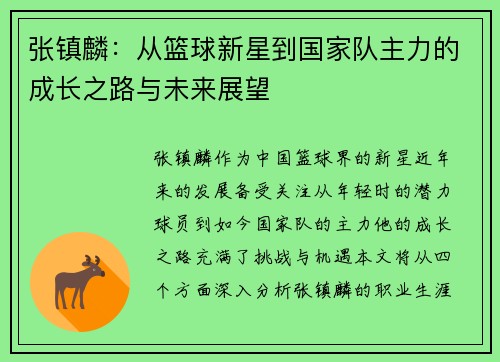 张镇麟：从篮球新星到国家队主力的成长之路与未来展望